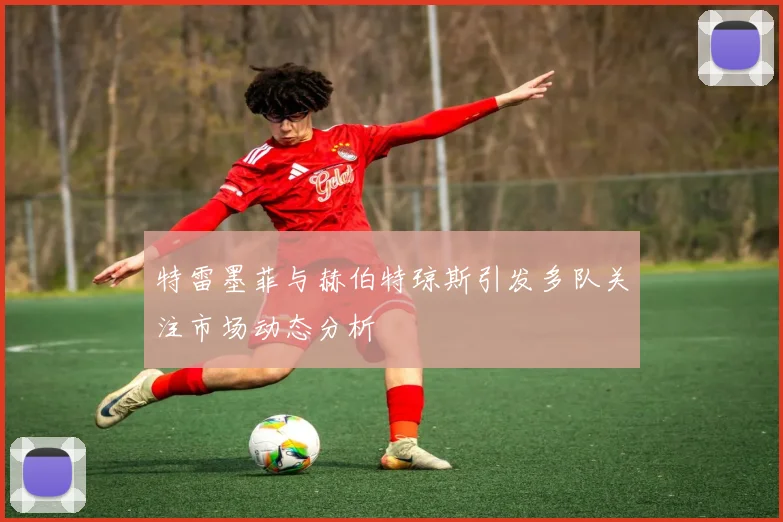 特雷墨菲与赫伯特琼斯引发多队关注市场动态分析
